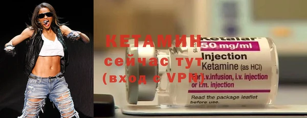 крисы Новодвинск