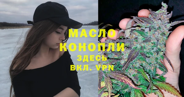 крисы Новодвинск