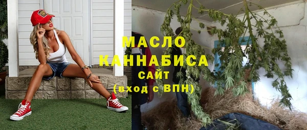 первитин Няндома