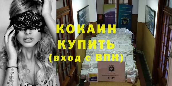 первитин Няндома