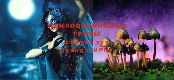 ешки Новозыбков