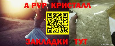 спиды Донской