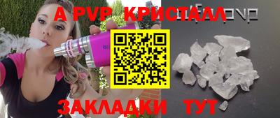 спиды Донской