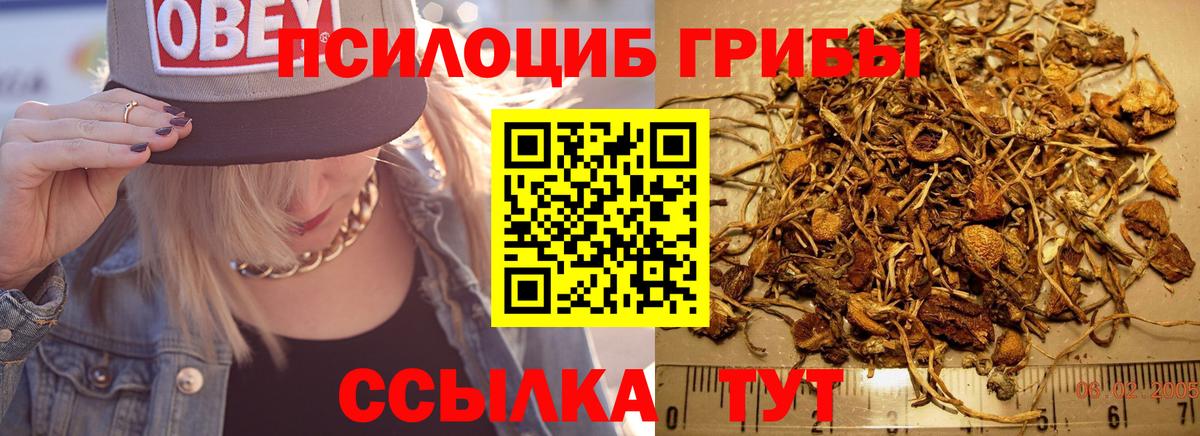 Псилоцибиновые грибы прущие грибы  Вход с VPN  Новоуральск  Галлюциногенные грибы Magic Shrooms 