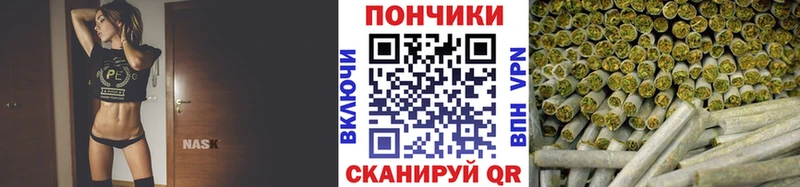 магазин    Новоуральск  Марихуана сатива 